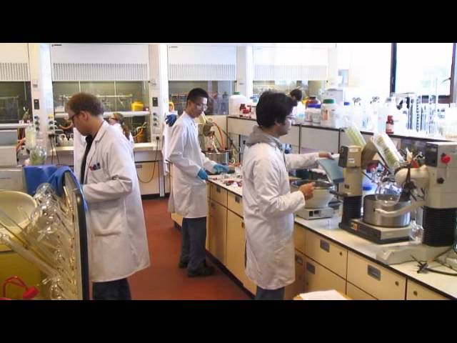 Organic Chemistry and Cancer Research