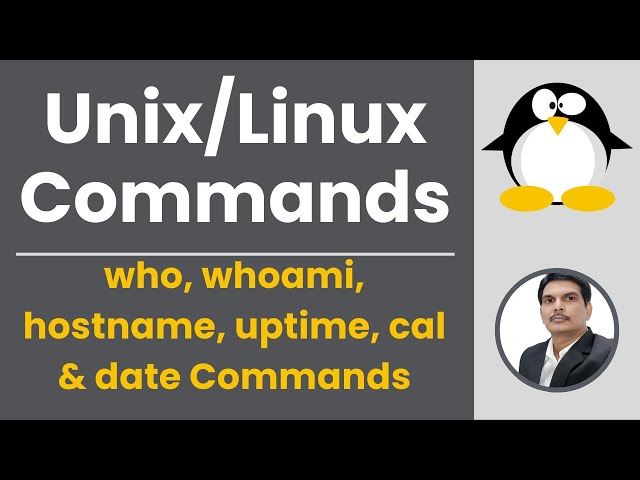 Part 5 - Unix/Linux for Testers | who, whoami, hostname, uptime, cal & date Commands