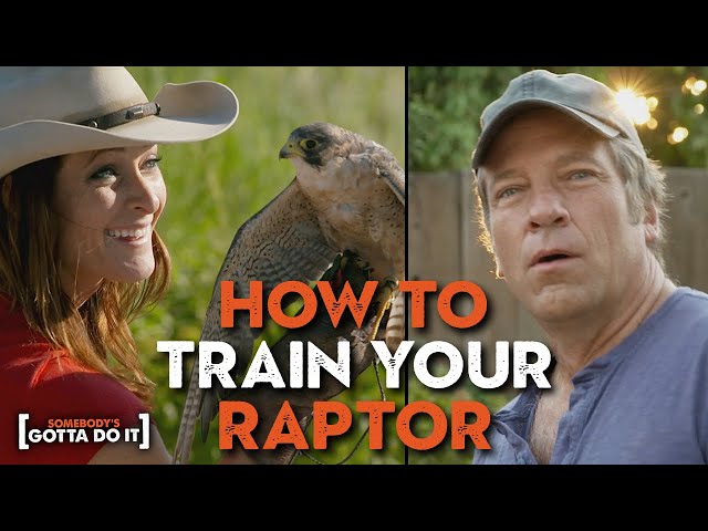 Somehow Mike Rowe Trains Raptors WITHOUT Getting INJURED! | Somebody's Gotta Do It