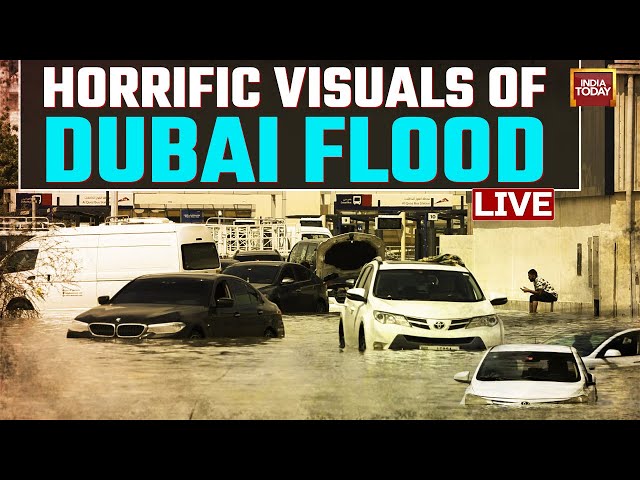 Dubai Flood LIVE News: Floods In Dubai Wreak Havoc | Visuals Of Floods In Dubai | Dubai News LIVE