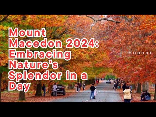 Mount Macedon 2024: Embracing Nature's Splendor in a Day