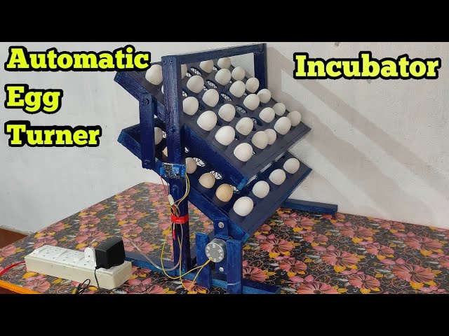 How to make Wooden Automatic Egg turner for Incubator || dya egg turner || SG Rangpur
