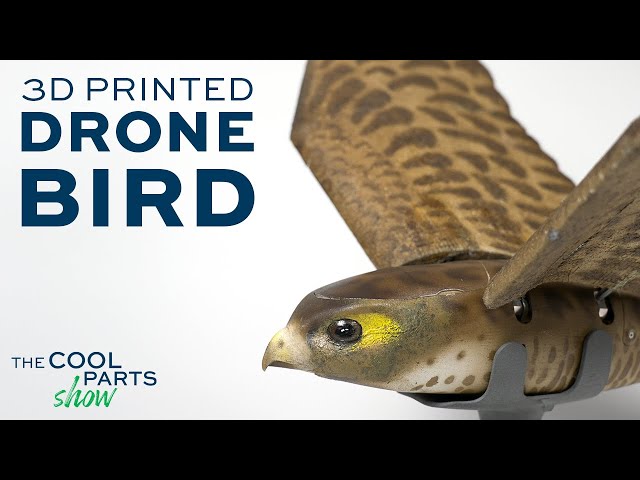 3D Printed Drone Bird Flies Like a Real Bird | The Cool Parts Show #66
