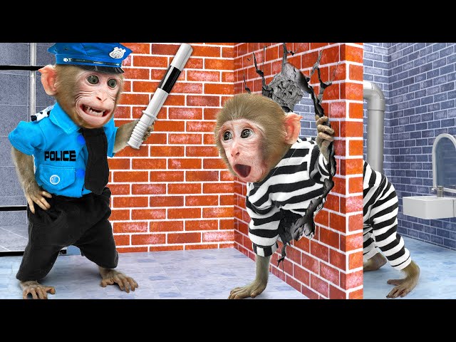 KiKi Monkey escape from Biggest Maze Challenge and go shopping M&M Chocolate Candy |KUDO ANIMAL KIKI