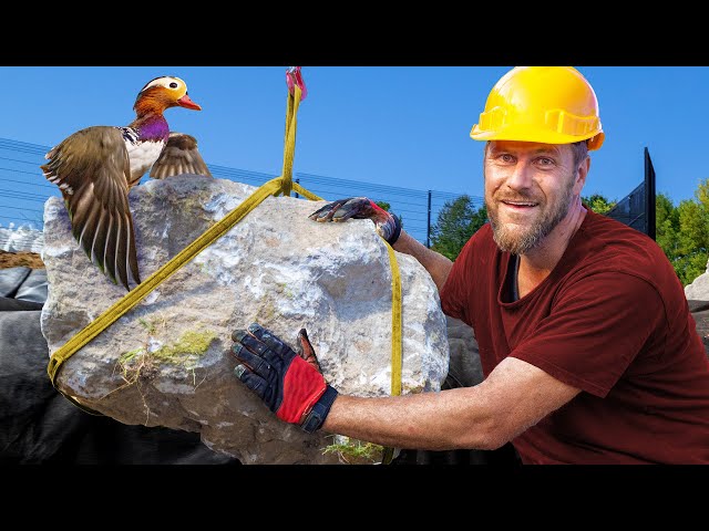 Moving HUGE Boulders into the Aviary Duck Pond (Day 2 & 3)