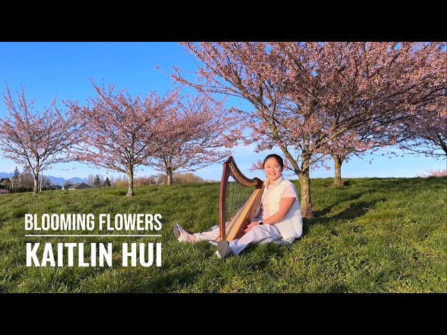 Playing Harp Under Cherry Blossoms 🌸 - Blooming Flowers, My Composition