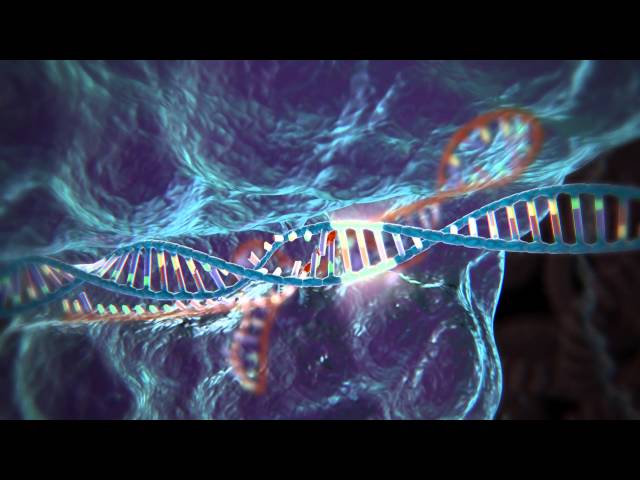 Genome Editing with CRISPR-Cas9