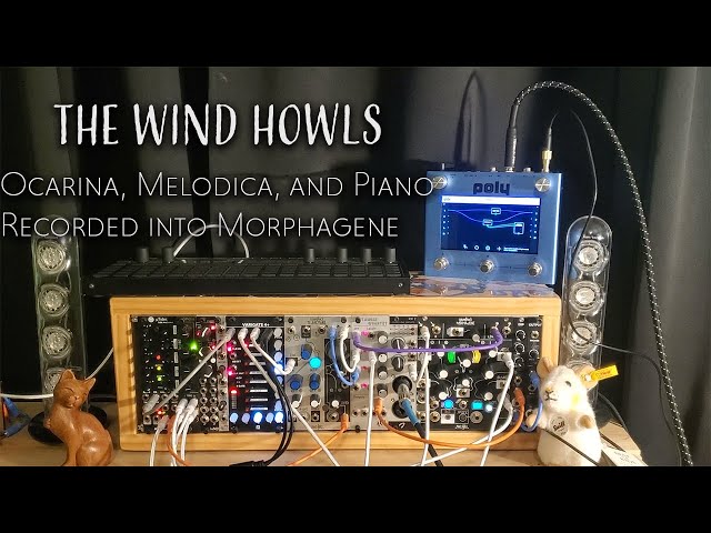 The Wind Howls - generative ambient eurorack modular piece no. 77 - Ocarina, Melodica, Piano