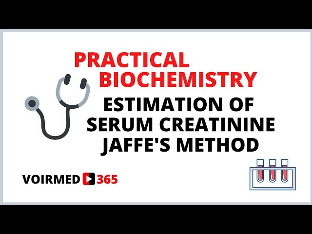 12 ESTIMATION OF SERUM CREATININE - JAFFE'S METHOD | BIOCHEMISTRY PRACTICAL