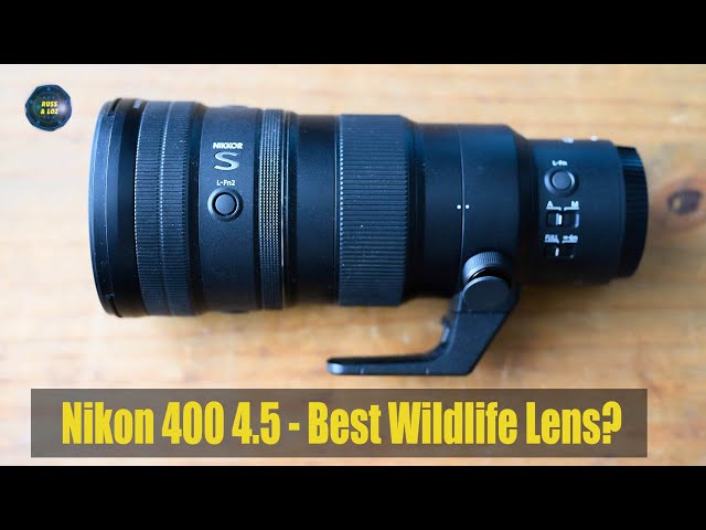 Nikon 400 4.5 - Best Wildlife Lens?