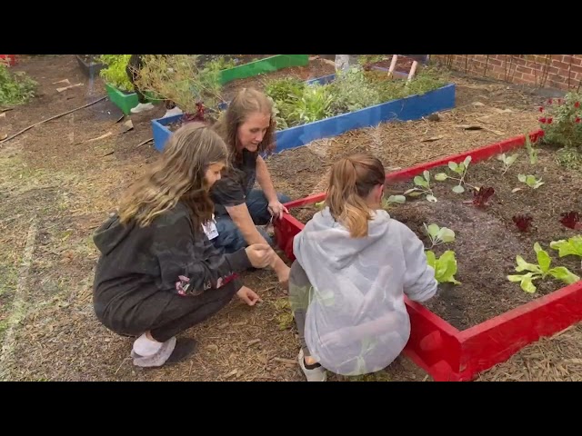 Lakeview Middle School's Giving Garden Encourages Personal, Community Growth