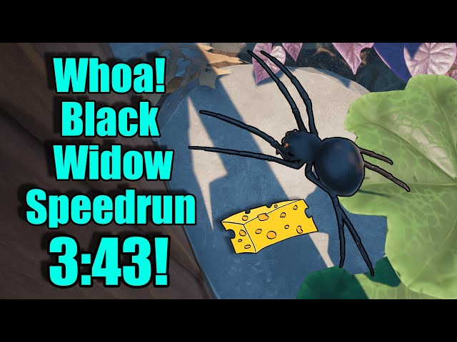 WR Whoa! Black Widow Speedrun in 3:43! [Cheesy Edition]