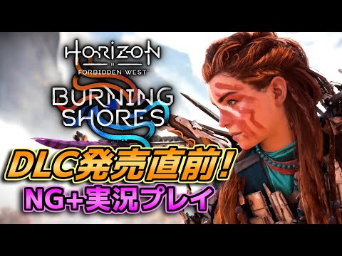 Horizon FW NG+実況