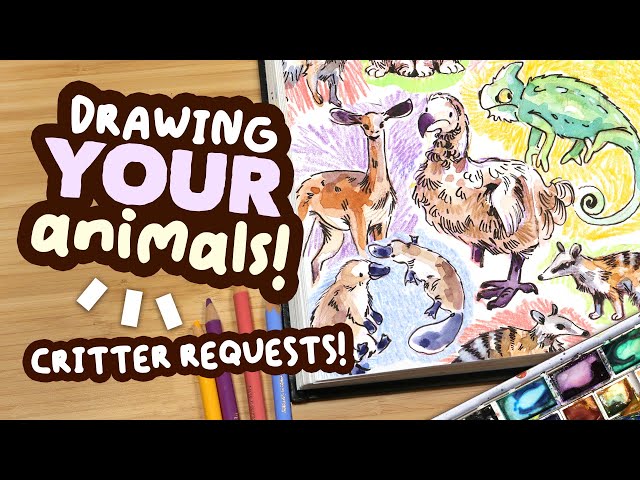 Drawing YOUR Critter Requests! // watercolour sketchbook session