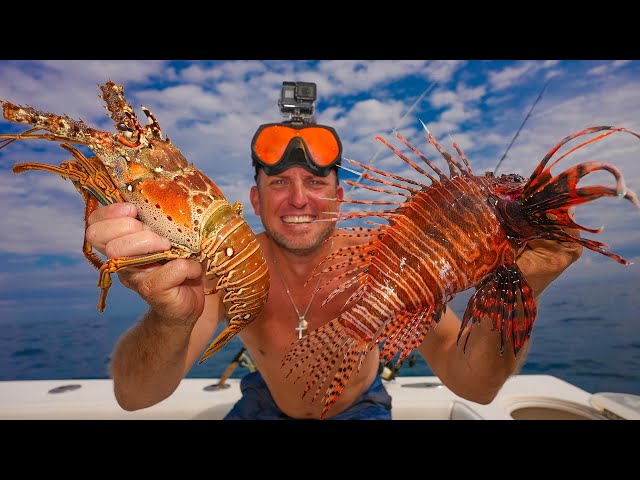 First Lobster & Lionfish of the New Year!!! {Catch Clean Cook} Best Food Ever!!!