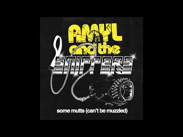 Amyl and the Sniffers - Some Mutts  Official Audio