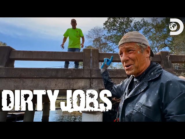 Mike Rowe Goes Diving in Swamp Water! | Dirty Jobs