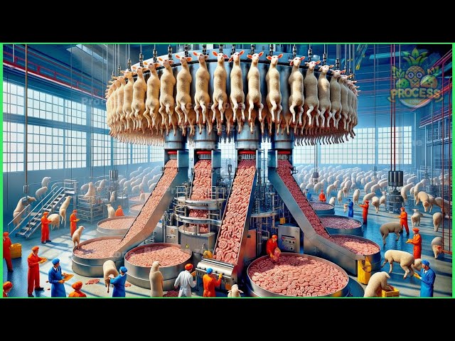 Wow! Food Factory Machines That You've Never Seen Before ▶4