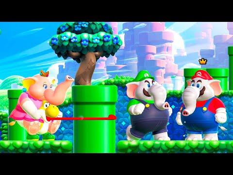 Super Mario Bros. Wonder - 4 Players Co Op Multiplayers Full Game