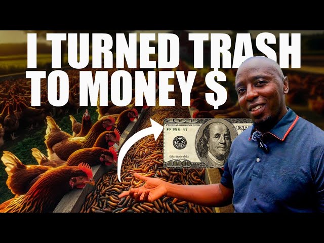 How He Turns Trash Into Money $$$!