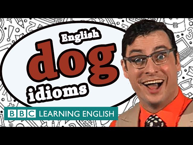 Dog idioms - Learn English idioms with The Teacher