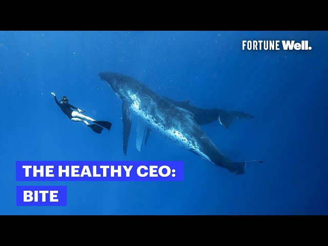 This CEO Dives With Whales To Decompress From Work | The Healthy CEO