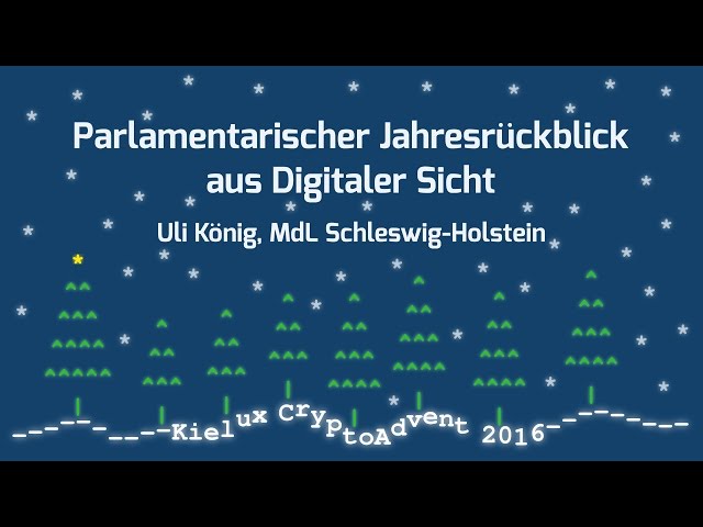 Parlamentarischer Jahresrückblick aus digitalpolitischer Sicht [CryptoAdvent 2016]