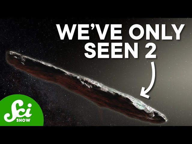 The Rarest Objects in The Solar System Are from...Elsewhere...