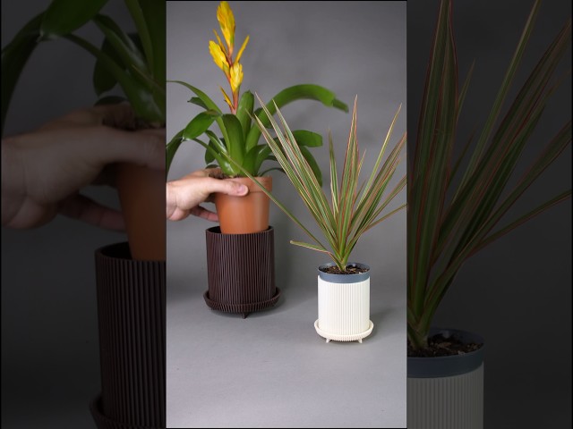 Planter with Legs | Sabre Design | 3D Printing Ideas