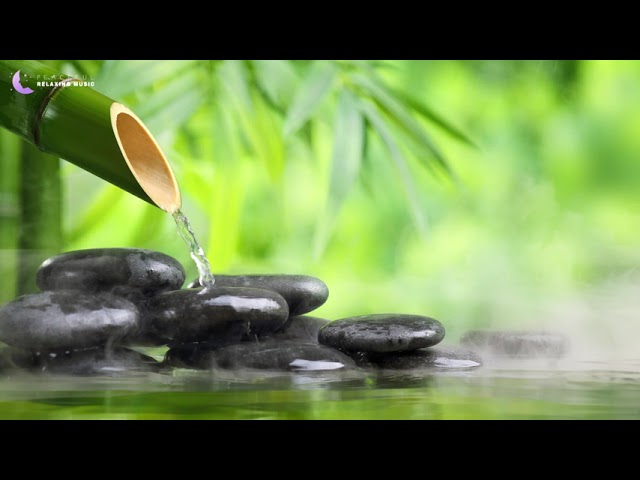 Relaxing Piano Music  ▶︎  Sleep Music • Relaxing Water Sounds • Meditation Music