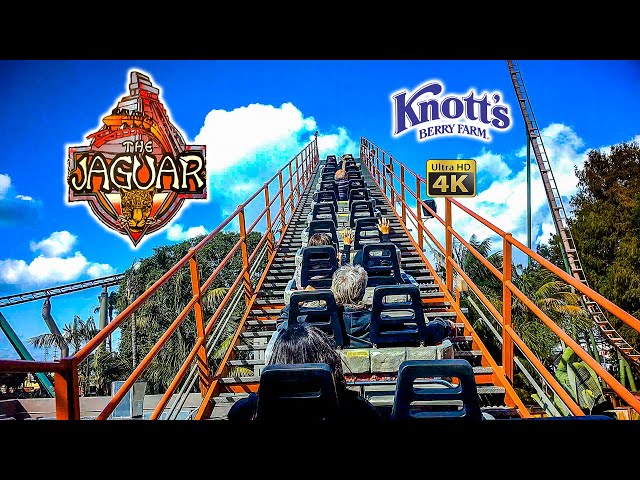 2024 Jaguar! Roller Coaster On Ride 4K POV Knott's Berry Farm