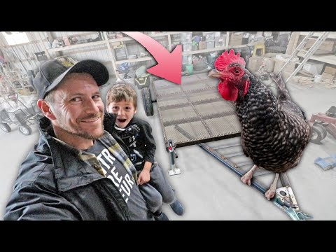 ULTIMATE Mobile Chicken Coop