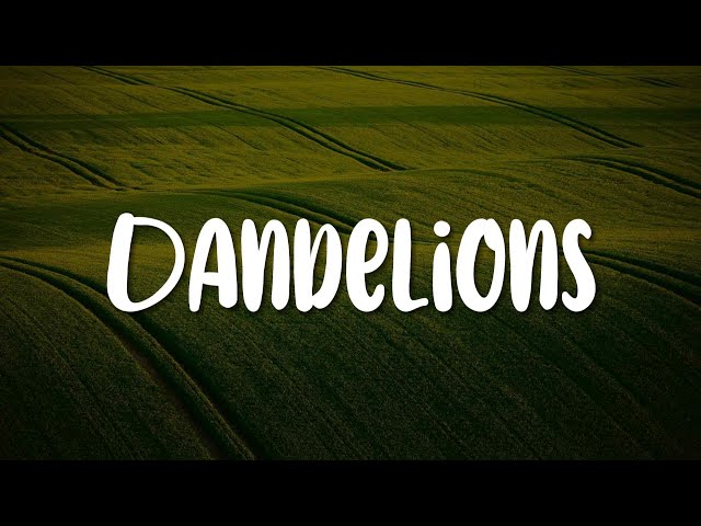 Dandelions, Hurts So Good, Into Your Arms (Lyrics) - Ruth B, Astrid S, Ava Max