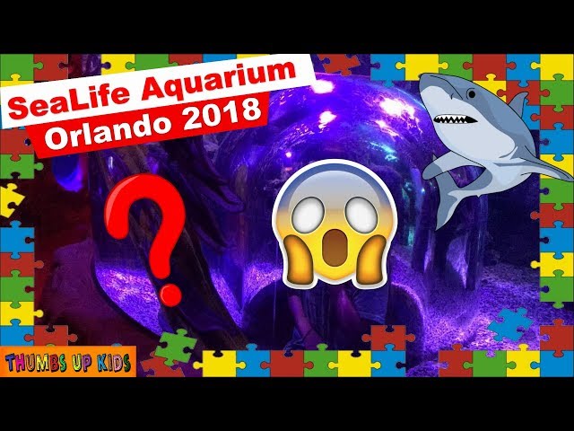 Orlando Attraction Walkthrough Sea Life Aquarium