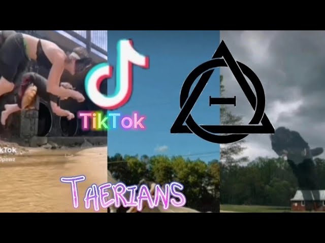 Therian and Quadrobics TikToks (Likee) || Complaction 🐾🪱🪲||  Alterhumans of TikTok and Likee