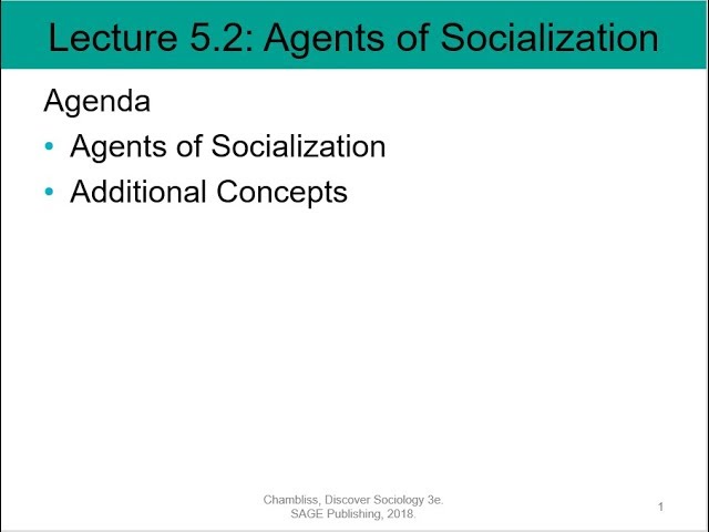 Soc 101 Lecture 5.2: Agents of Socialization