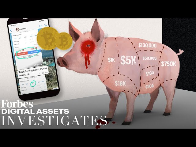 Investigating "Pig Butchering": Crypto's New Long-Game Financial Con  | Forbes Digital Assets