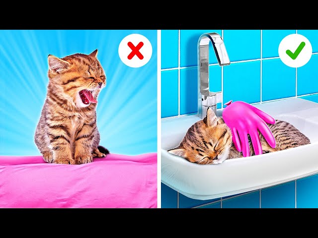 I TRIED THIS HACK FOR PET OWNERS! Best Gadgets And DIYs For Your Pets
