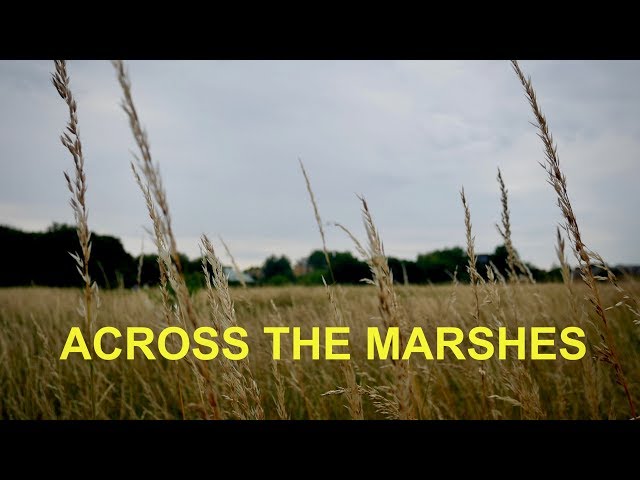 Across the Marshes from Leyton to Walthamstow Wetlands (4K)
