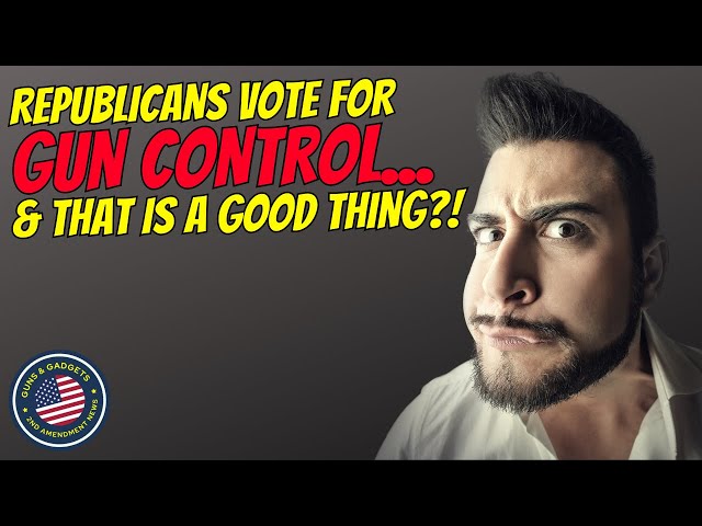SAY WHAT?! Republicans Voted For Gun Control & That's A Good Thing?!