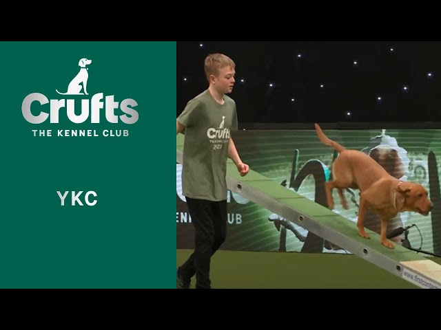 Young Kennel Club  ADOY Finals | Crufts 2023