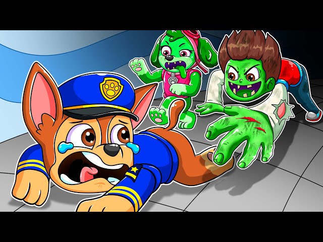 Brewing Cute Pregnant & Cute Baby! But What Happenned? - Funny Story | Paw Patrol Ultimate Rescue