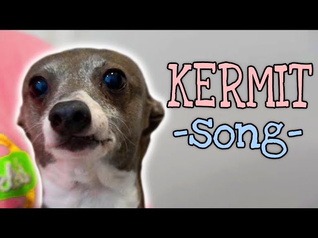 a song for kermit