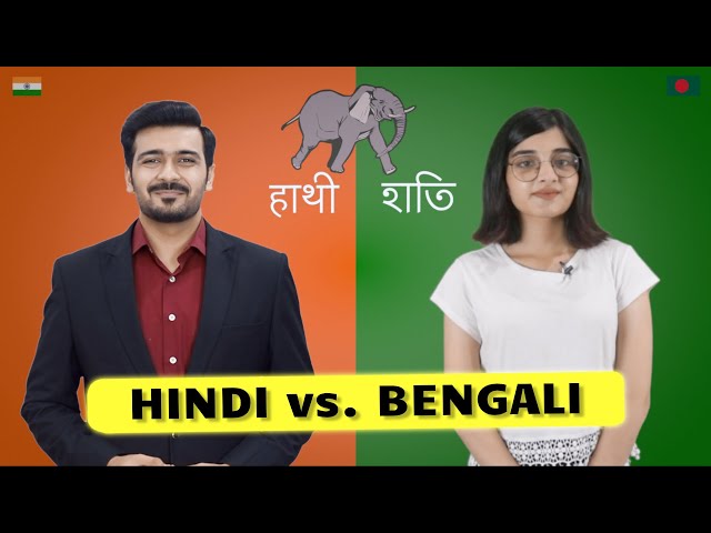 Hindi vs. Bengali | How Similar Are Hindi and Bengali Words? | হিন্দি ও বাংলা