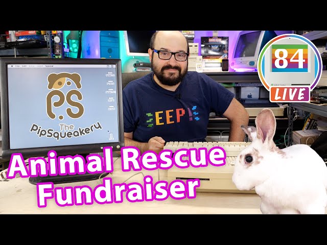 LIVE: Tinkering Around - Fundraiser for The Pipsqueakery Animal Rescue & Sanctuary