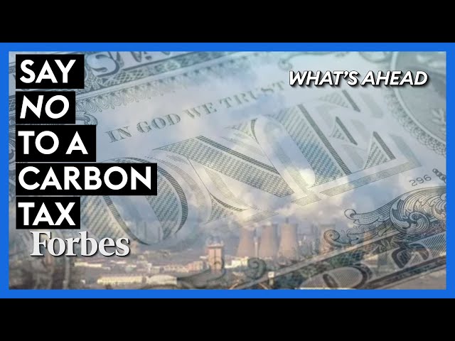Say No To A Carbon Tax: The Absolute Definitive Takedown