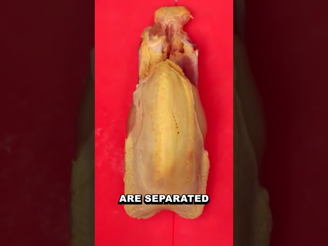 Never Waste Chicken Again!