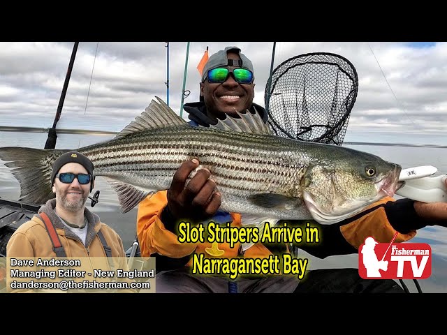 April 27, 2023  New England Video Fishing Forecast with Dave Anderson