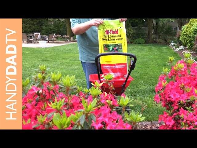 Late Spring Pre-Emergent | Lawn Care 2018