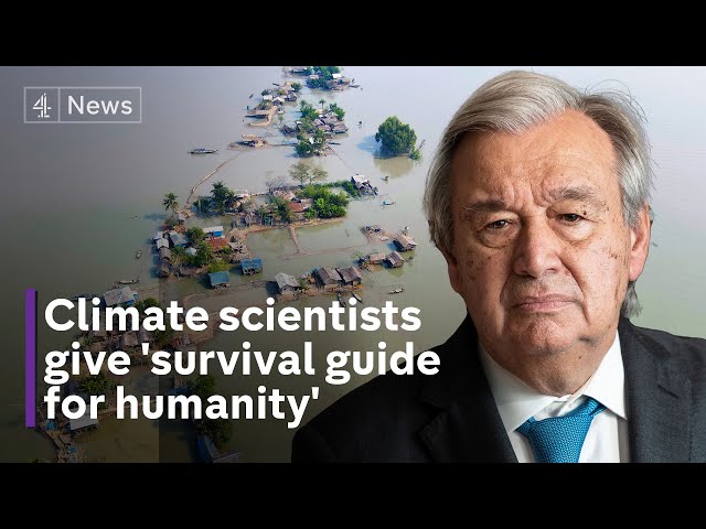 Climate scientists give "survival guide for humanity" in landmark UN report